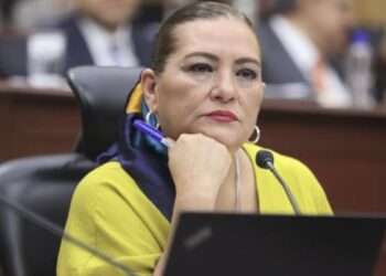 Llamado a la Serenidad de Guadalupe Taddei Durante el Proceso Electoral