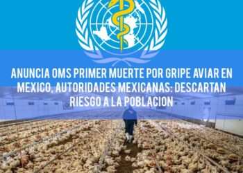 Persona Falleció por Complicaciones de Diabetes, No por Gripe Aviar: Secretaría de Salud
