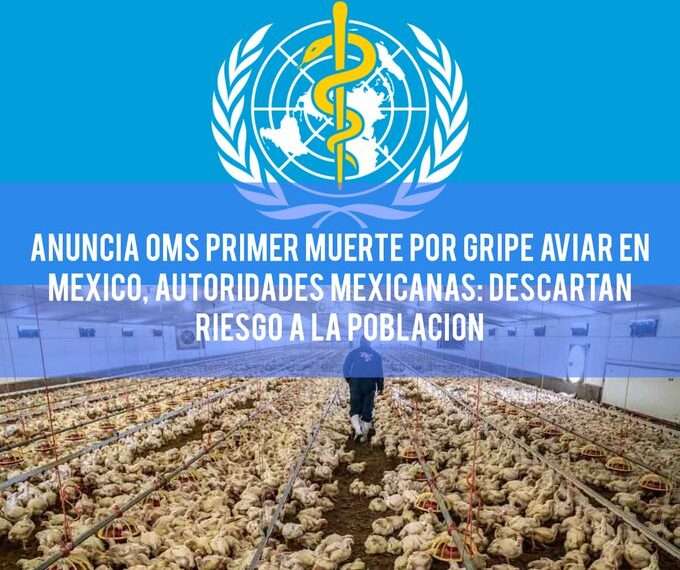 Persona Falleció por Complicaciones de Diabetes, No por Gripe Aviar: Secretaría de Salud