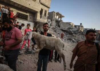 Israel pausa combates diurnos en Gaza para facilitar ayuda humanitaria