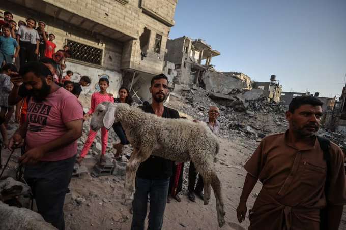Israel pausa combates diurnos en Gaza para facilitar ayuda humanitaria