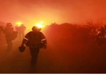 Evacúan a 1,200 personas por incendio forestal cerca de Los Ángeles