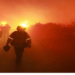 Evacúan a 1,200 personas por incendio forestal cerca de Los Ángeles