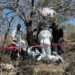 Hallan 16 cuerpos en fosas clandestinas de Jacona, Michoacán