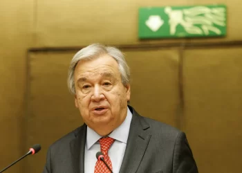 Desafíos Humanitarios en Gaza: Caos y Anarquía Obstaculizan la Ayuda, Según la ONU