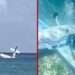 Avioneta Cessna se estrella cerca de Cozumel: Piloto rescatado con vida