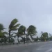 Tragedia en el Caribe: Tres Muertos en Granada por Huracán Beryl