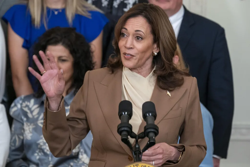 La vicepresidenta demócrata ha abordado las causas profundas de la migración, haciendo un llamado a la humanidad pero también a la prudencia en su visita a México y Guatemala.