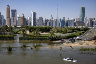 Brote de Dengue en Emiratos Árabes: Inundaciones y Cambio Climático