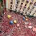 Inician las Fiestas de San Fermín en Pamplona con el “Chupinazo”