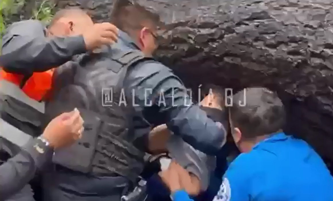 Árbol cae sobre auto en CDMX: Madre muere y bebé sobrevive de milagro