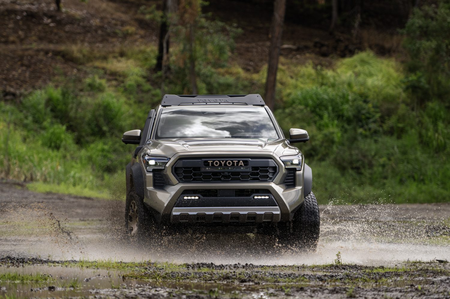 SUV Toyota