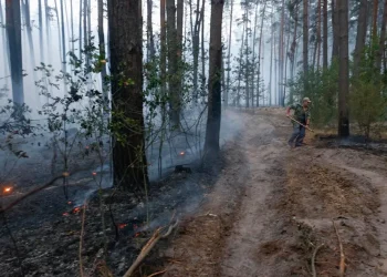 Ucrania avanza 2 kilómetros en Lugansk tras un contraataque sorpresivo