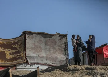 Más de 41.100 Víctimas en Gaza: 34 Muertos en las Últimas Horas