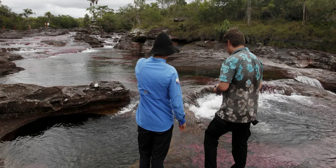 Colombia enfrenta crisis de violencia contra defensores ambientales
