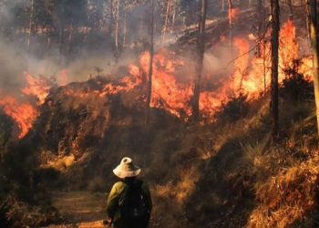 Quito declara emergencia por incendios forestales