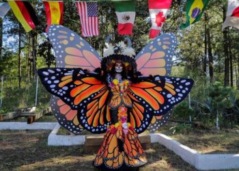 Michoacán se prepara para la llegada de la Mariposa Monarca y la Carrera Panamericana