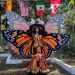 Michoacán se prepara para la llegada de la Mariposa Monarca y la Carrera Panamericana