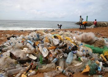 El mundo produce 51,7 millones de toneladas de desechos plásticos cada año