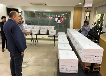 Simulacro de votación PRI