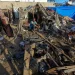 Bombardeos israelíes en la “zona humanitaria” de Gaza dejan cinco palestinos muertos
