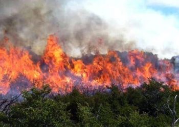 Suben a 15 los fallecidos por incendios en la Amazonía peruana