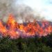 Suben a 15 los fallecidos por incendios en la Amazonía peruana