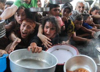 La ONU alerta sobre la falta de alimentos en Gaza desde hace once días