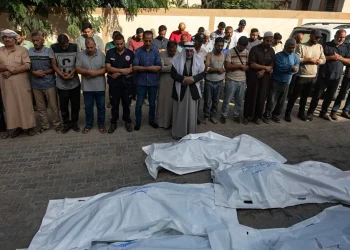 La cifra de muertes en Gaza supera los 41,700 tras intensos ataques israelíes