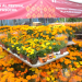 Festival de las Flores de Cempasúchil llega a Paseo de la Reforma