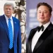 Elon Musk asegura que asistirá al mitin “histórico” de Trump en el lugar del atentado