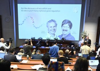 Premio Nobel de Medicina para Victor Ambros y Gary Ruvkun por su descubrimiento del microARN