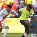 Nueva sanción para Ecuador por cánticos homófobos de su afición