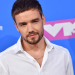 Informe toxicológico revela que Liam Payne consumió antidepresivo, antes de su muerte