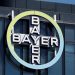Bayer reduce 5.500 empleos en 2024, principalmente en cargos directivos