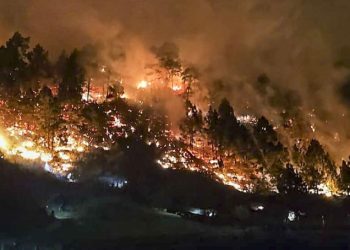Evacuan a 200 personas en El Paso, La Palma, por un conato de incendio forestal