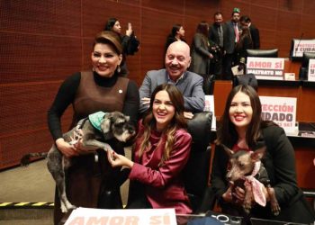 Senado aprueba reforma constitucional para prohibir el maltrato animal