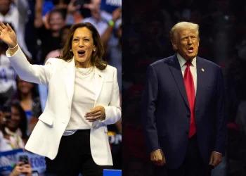 Diferencias clave entre las propuestas de Kamala Harris y Donald Trump en la contienda electoral