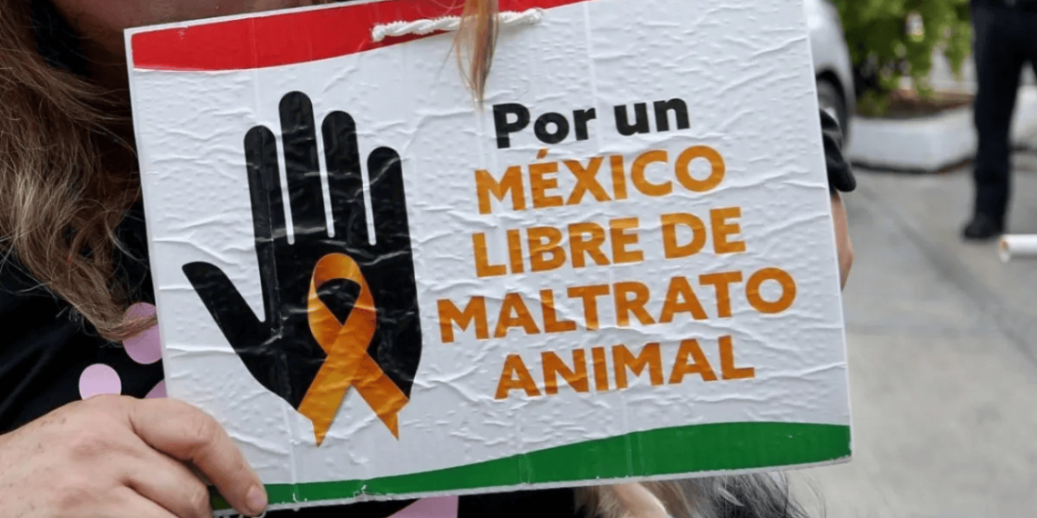 Avanza reforma constitucional sobre protección animal al Pleno del Senado