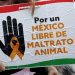 Avanza reforma constitucional sobre protección animal al Pleno del Senado