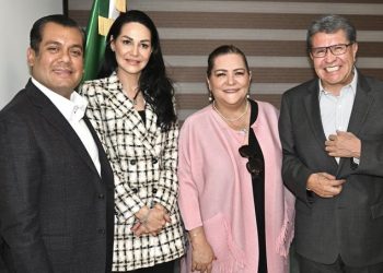 Monreal y Taddei discuten presupuesto del INE para las elecciones judiciales