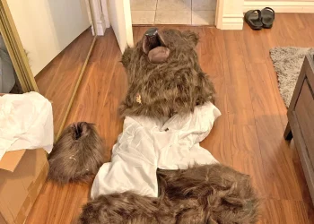 Detenidos en California por simular ataques de osos