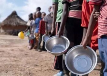ONU advierte que el hambre mundial afecta a 733 millones de personas