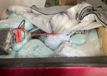 Autoridades incautan más de una tonelada de fentanilo en Sinaloa