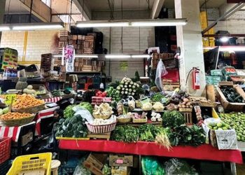 Detectan altos niveles de cadmio en alimentos comunes de la CDMX