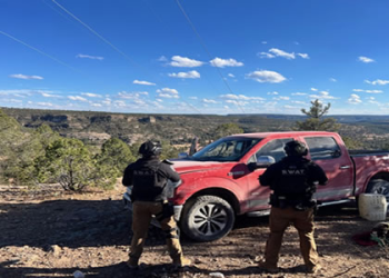 Desmantelan campamentos ilegales en la Sierra de Chihuahua vinculados al crimen organizado