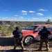 Desmantelan campamentos ilegales en la Sierra de Chihuahua vinculados al crimen organizado