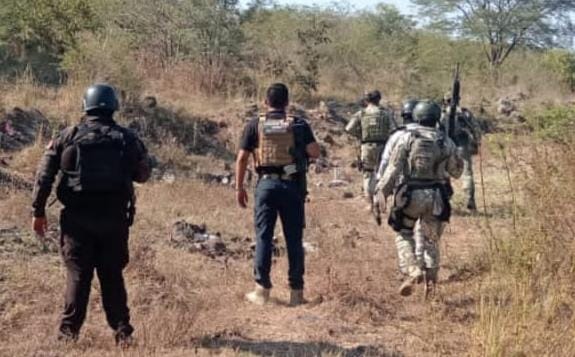 Desactivan narcominas en Michoacán: Ejército y SSP destruyen 203 explosivos