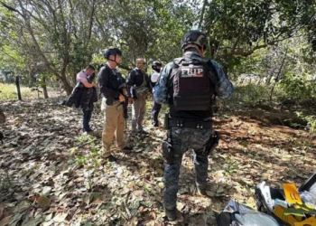 Descubren 15 cuerpos en fosas clandestinas durante operativo en Chiapas