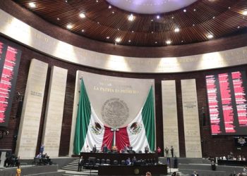 Diputados Aprueban el PEF 2025 con Críticas por Recortes a Salud